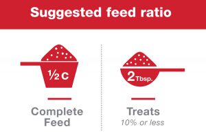 Chicken Treats and Feed